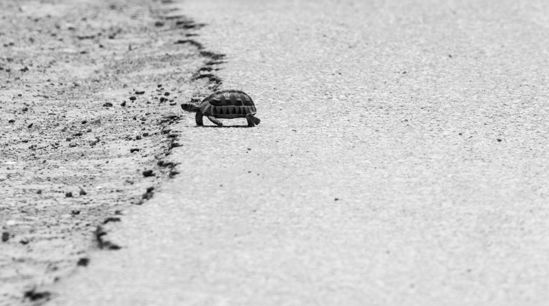 Take is slow when learning and applying new information